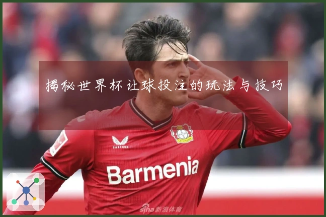 揭秘世界杯让球投注的玩法与技巧