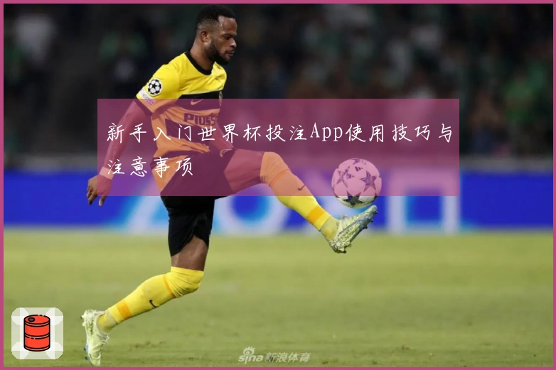 新手入门世界杯投注App使用技巧与注意事项