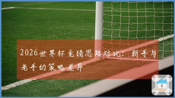 2026世界杯竞猜思路对比：新手与老手的策略差异