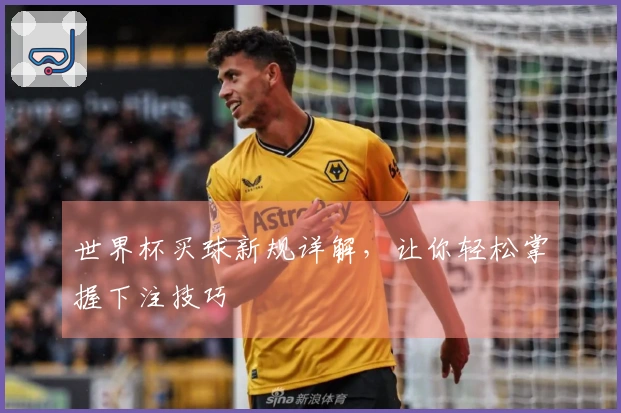 世界杯买球新规详解，让你轻松掌握下注技巧