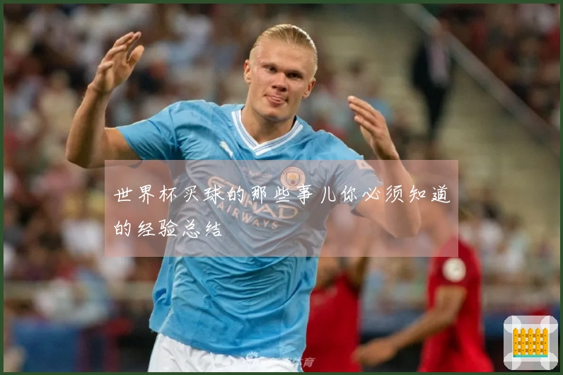 世界杯买球的那些事儿你必须知道的经验总结