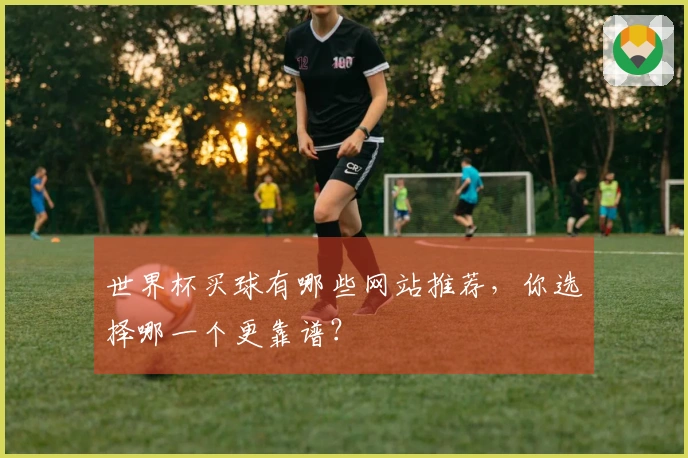 世界杯买球有哪些网站推荐，你选择哪一个更靠谱？